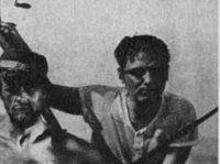   (1929)