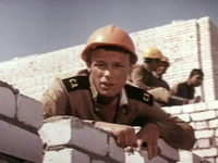   ... (1984)