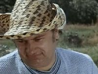 ,    (1981)