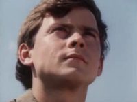  (1982)