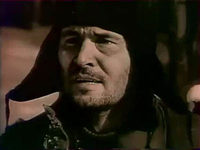   (  ) (1991)