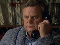 Профессионал (1981)