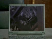  -6 (2006)
