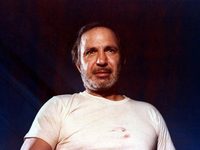    (1981)