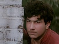  -  (1981)