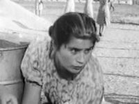 (1954)