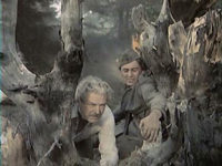    (1976)