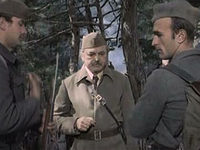   (1976)