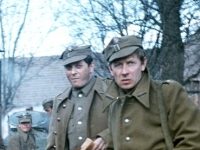  (1969)