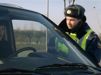  -6 (2005)