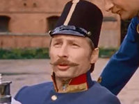  (1981)