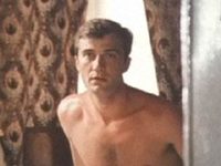    (1981)