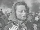   (IV) -  1