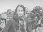   (IV) -  2