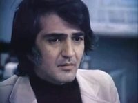  (1981)