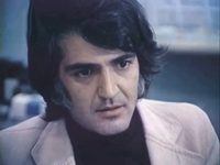  (1981)