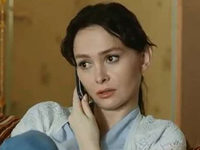  -17 (2017)