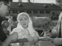   (1963)