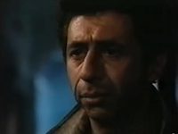    (1991)