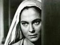  (1954)