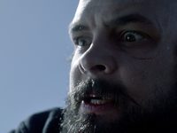    (2017)