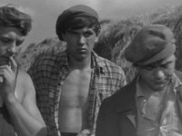   (1968)