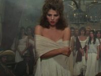 ,  (1981)