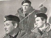   (1963)