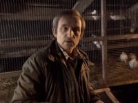   -12 (2012)