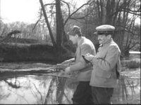   (1954)