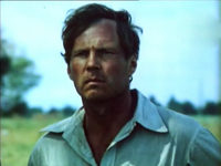  (1981)