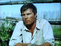  (1981)