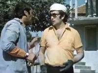    (1977)
