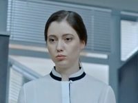  (2017)