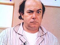    (1981)