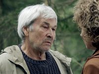  .    (2019)