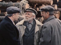   (1981)