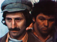    (1979)
