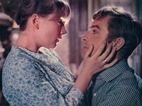  (1966)