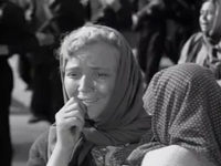   (1964)