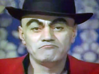   (1993)
