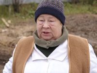   (2013)