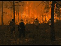 Один день — один фильм: гид по «Посланию к человеку» для тех, кто хочет увидеть главное 
фотографии
