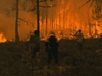 Один день — один фильм: гид по «Посланию к человеку» для тех, кто хочет увидеть главное 
фотографии
