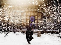 «Великий мастер»: Время любви прошло? 
фотографии