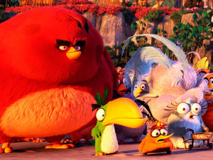Angry Birds  :  !