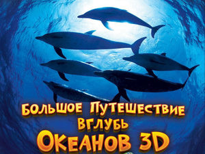     3D