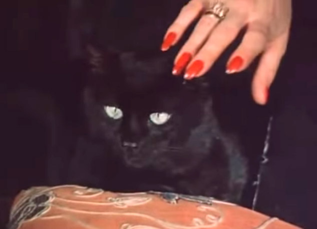 Черная кошка фильм