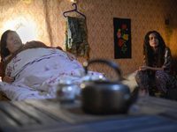 «Норвег»: Это всё моё родное 
фотографии