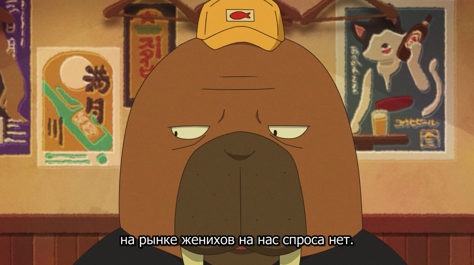    :       ,    